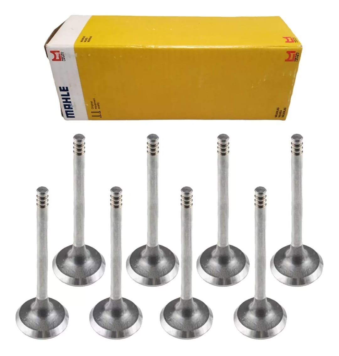 Space Intake Valve Set VW 1500/1600AR