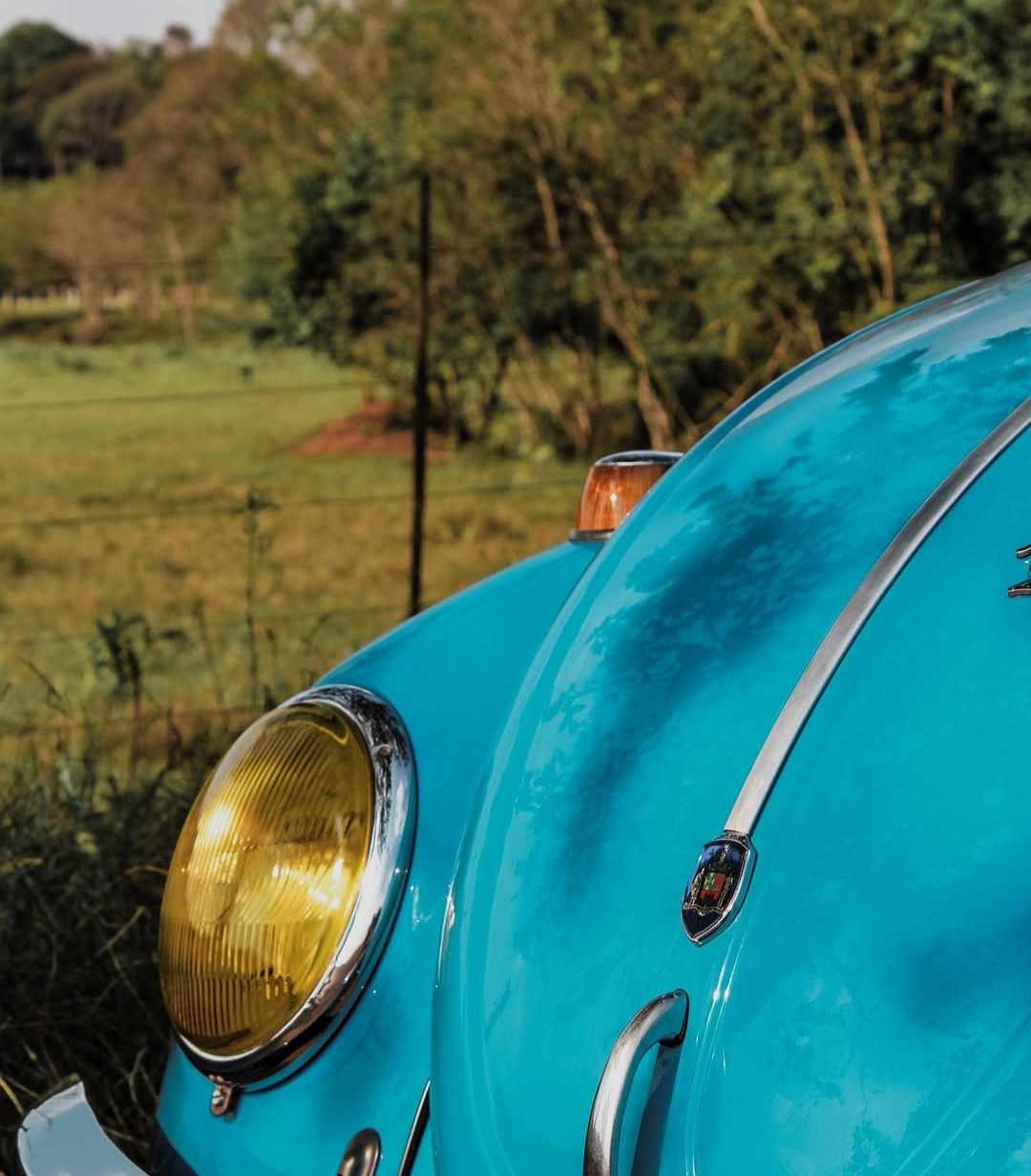Yellowstone Lenses Beetle VW - 1950 to 1966