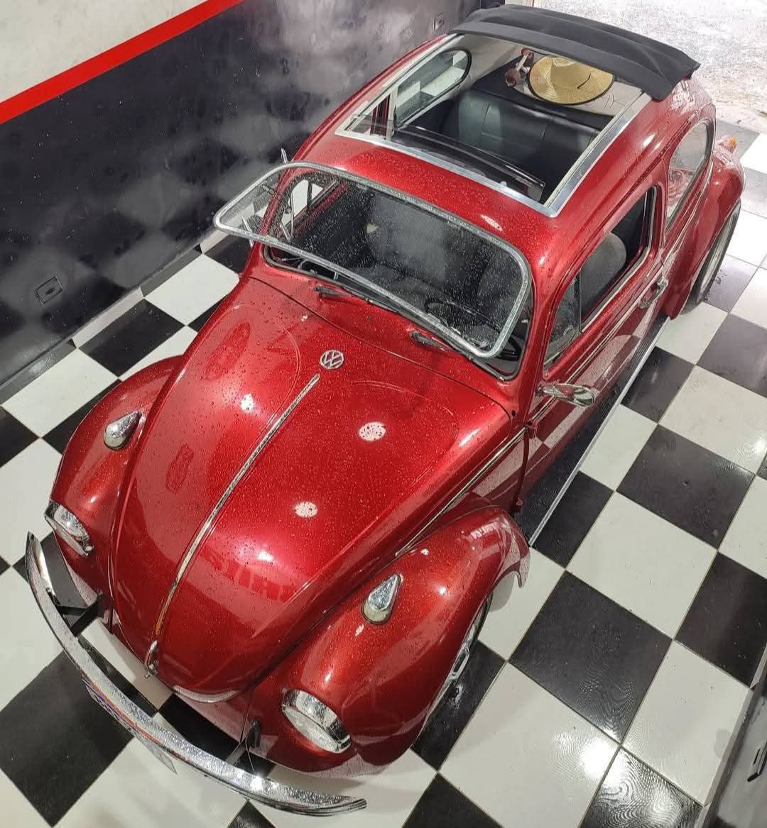 Safari window Beetle VW Germany - fit vw 1966 to 1979 with Glass