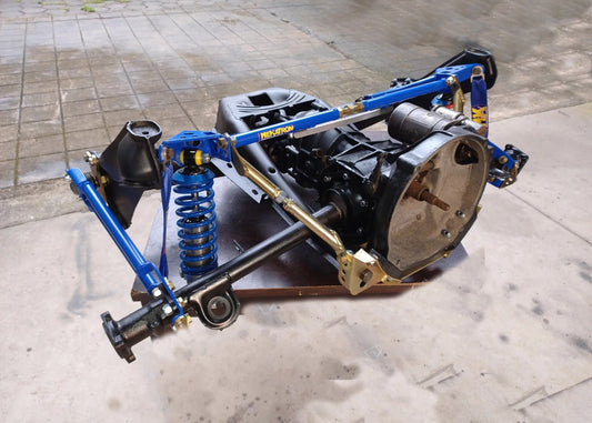 Double rear suspension beetle